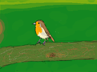 Robin