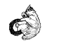 Cat sleeping