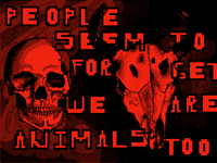 Hallucinations first frame only