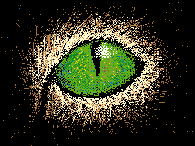 Eye