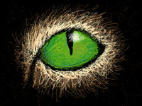 Eye