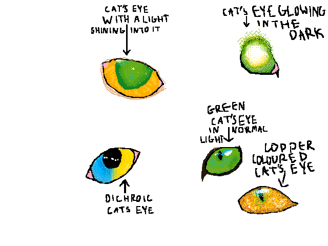 Cats eyes