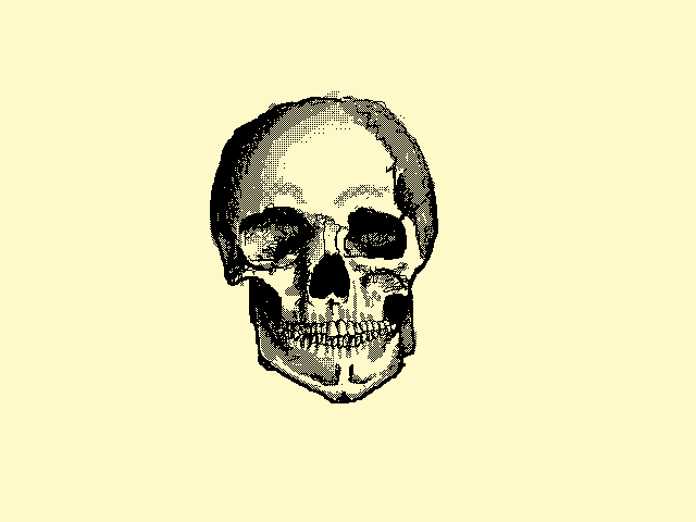 Skull