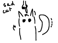 Sad cat