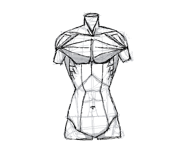 Anatomy practice