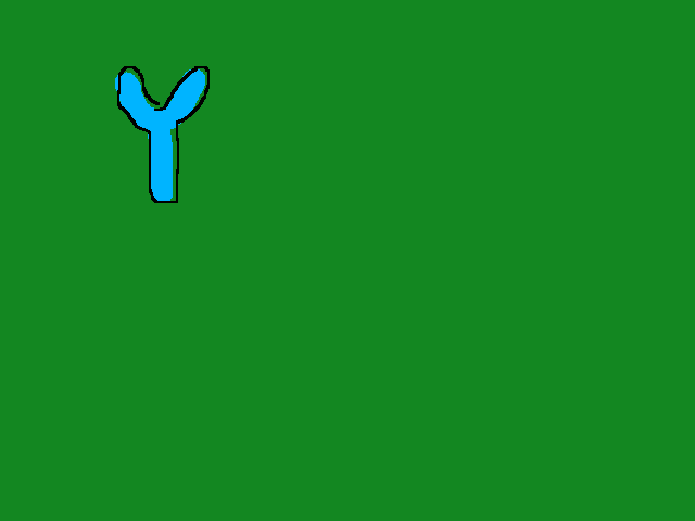 XX