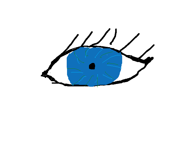 Eye