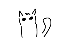 Bouncy cat