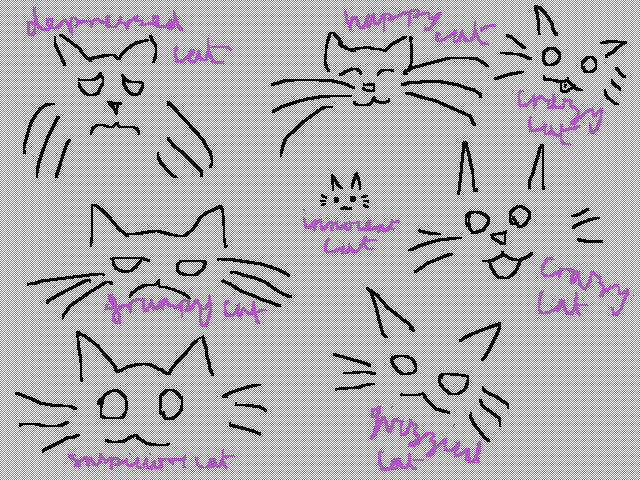 Cats!