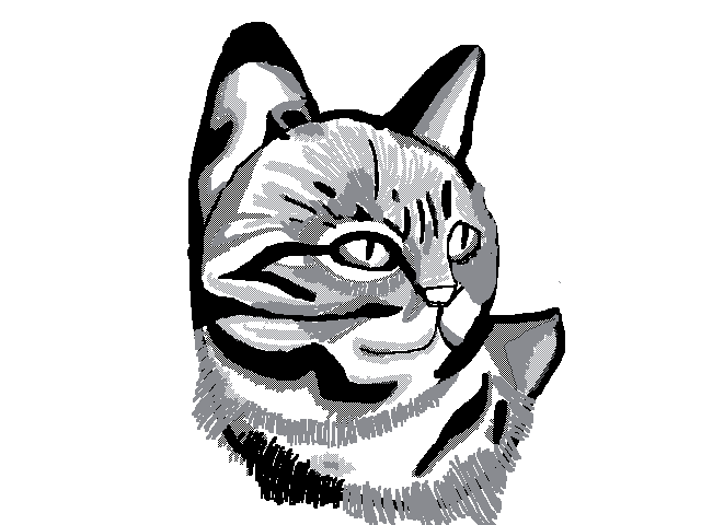 Cat taC