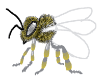 🐝WIP