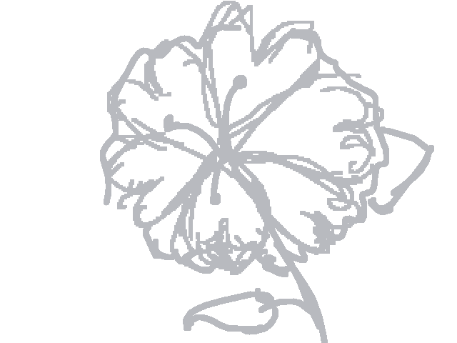 Flower speed draw (collab with Dahlia)