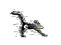 Cat oc (cuz—- Im bored)