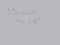 Maxwell 🐾🐾🎵🎶