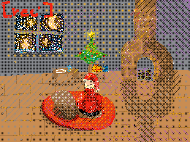 Santa caught on camera