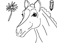 Horse