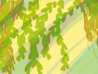 spring