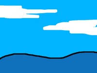 Curious dolphin