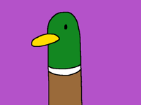 DUCK (idk if this is flash warning)