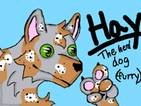 Hay the herding dog