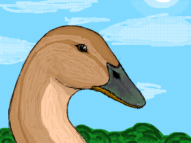 Duck🦆 (next is snow leopard!!)