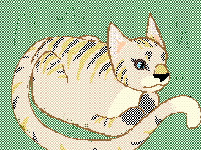 Loaf kitty :P