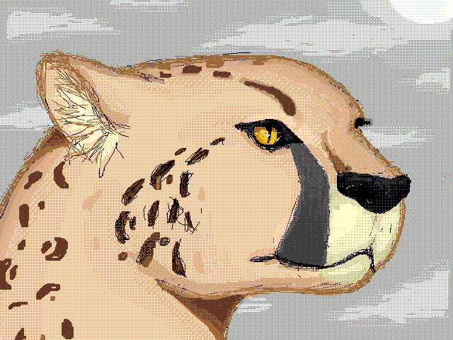 Cheetah🐆 (leave animal requests in comments!)