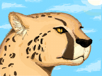 Cheetah🐆 (leave animal requests in comments!)