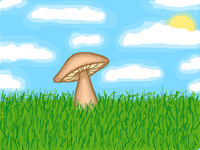 Mushroom in a field