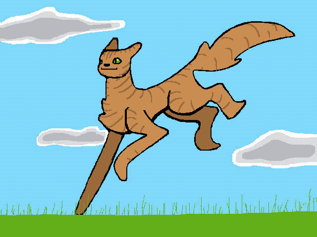 Kat