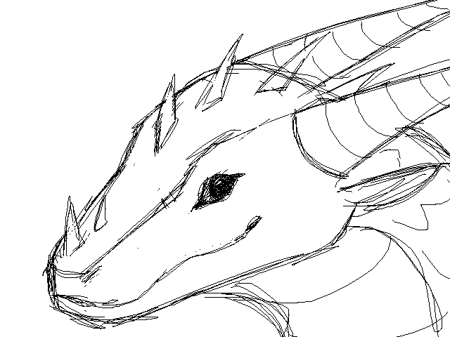 Dragon sketch :3