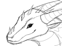 Dragon sketch :3