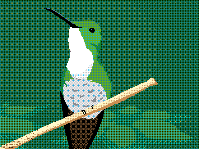 White-chested Emerald