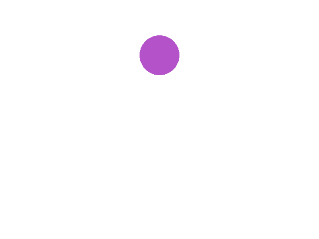 🟣