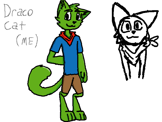 Draco Cat