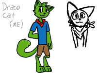 Draco Cat