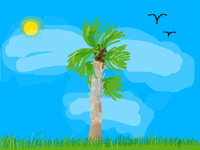 Palm Tree 🌴