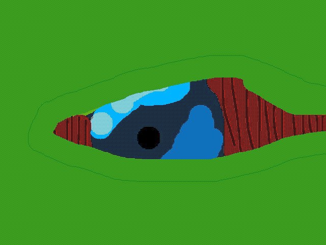 Lizard eye