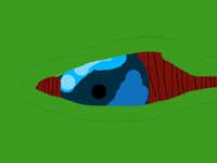 Lizard eye