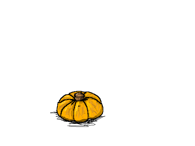 Pumpkin