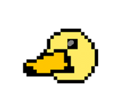 Q U A K      (d u c k PT 2) 🦆