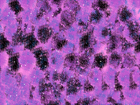 Galaxy Purple version