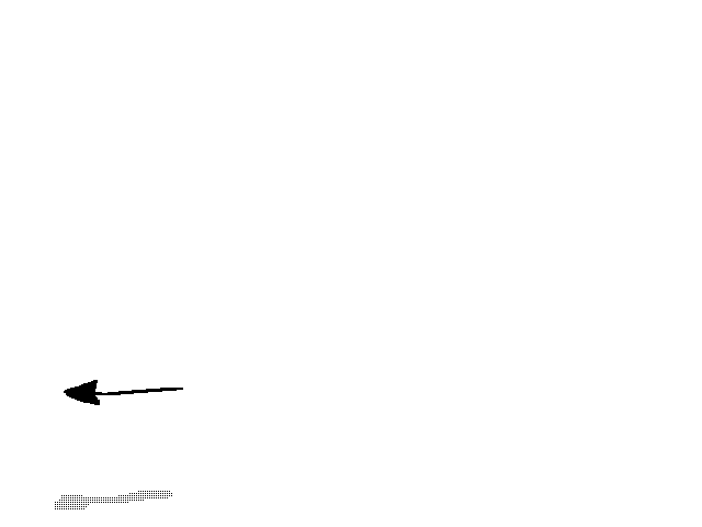 Spear Throwing Test