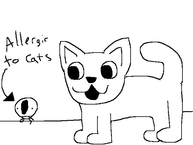 Spare my life and don’t vote cat 😺