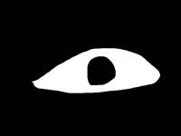 Blink test