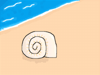 Sea shell