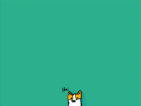 Hai