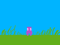 Camera zoom test