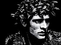 Gaius Julius Caesar*