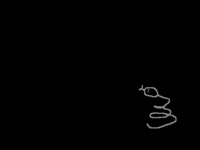 M.